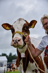 20180630113311-30e7186c