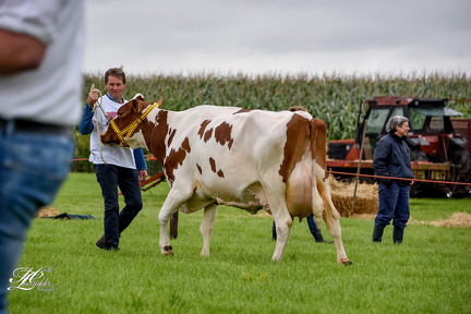 20180630113315-974e7071