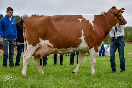 20180630113323-b88a2808