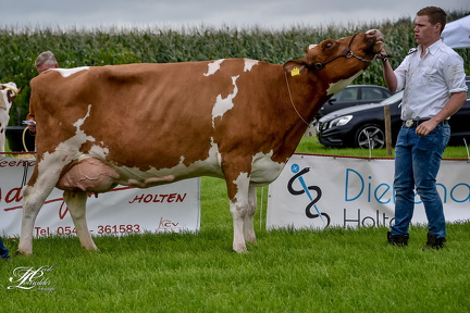 20180630113325-e617a942