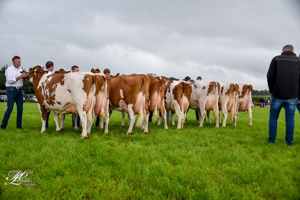 20180630113855-713f3556