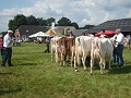 DSC02010