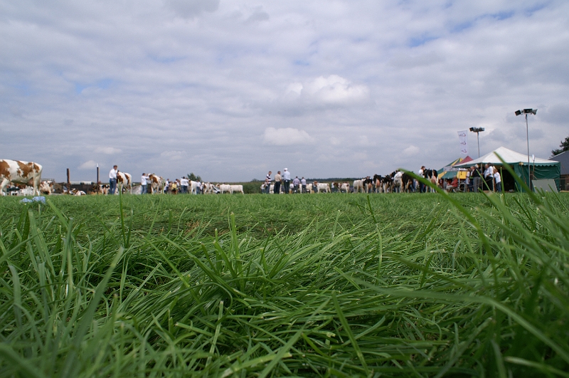 PICT0008.JPG