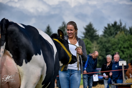 20180630102130-333803d7