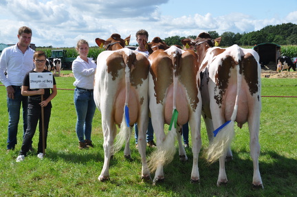 20180630112546-521a3c4a